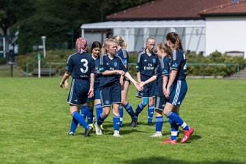 Bild 334 - B-Juniorinnen VfL Pinneberg - HSV : Ergebnis: 1:4